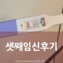 스마일한의원 | 셋째 임신 | 임밍아웃, 경주밭백한의원 늦은 후기, 노산ㅠㅠ