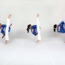 용인대석사비호태권도장 이미지