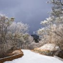 (주)부름