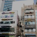 덕수네애견 이미지