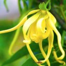 제이에스 이미지