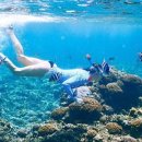 베스트바이클럽 이미지