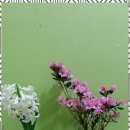 글로리 피아노 이미지