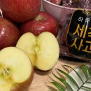 쭈니푸드 네이버블로그