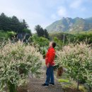 로뎀펜션 이미지