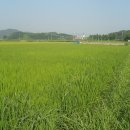 다솜농장 이미지