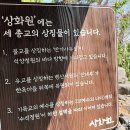 상화원 | [충남/보령] 한국 전통 정원 &#39;죽도 상화원&#39; 다녀온 후기