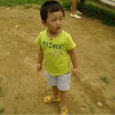다민목장 Daum카페