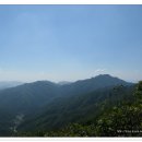 관인봉 Daum카페