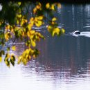 내수면환경생태공원주차장 이미지