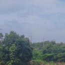 화산 펜션 | 5가족이 함께해도 넉넉했던 경주가족펜션 화산펜션 솔직 후기