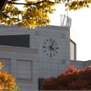 낭만안경 이미지