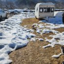 재인스가든 | [반려견 동반 숙소] 양양 재인스가든을 다녀왔어요