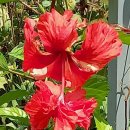 은진목장 이미지