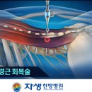 자생병원+울산자생한방병원 치료법들 ! 이미지