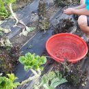 동훈농장 이미지