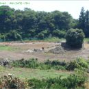 서광리-22 이미지