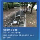 썬플라워의원 | 책! 책! 책! 책을 읽읍시다