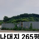 강남114부동산공인중개사사무소 이미지