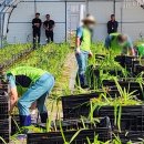 봉산농업협동조합 이미지