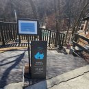 커피숲 | 비진숲커피 솔직후기｜자연과 어우러진 봉화 핫플 카페
