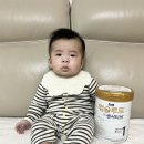 신생아 배앓이 증상 알아보고 분유 갈아타기 센서티브 + 리안 드림콧 꿀잠조합