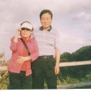 향우목장 Daum카페