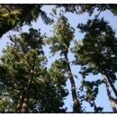 뉴서울모텔 이미지