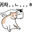 장터식당 이미지