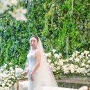 다르미앙 이미지