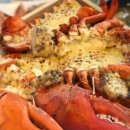 거제회센타 이미지