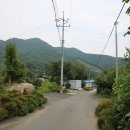 구재봉자두중서 이미지