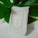 와이와이존 이미지