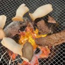 포도밭 댕댕이 펜션 | 가평 대형견펜션 포도밭댕댕이 강아지 넓은 운동장