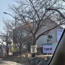 머리사냥 - 속초시 | 경주의 두쫀쿠를 찾아서... 두쫀쿠 헌터단의 경주 두쫀쿠, 생딸기두쫀쿠 사냥 후기