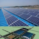 금호태양광발전소 이미지