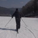 (스패로우) 점프, 트위스팅, 숏턴, 2배속 [44''] 이미지