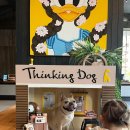 펫대디(Pet Daddy) | 홍천 대명비발디파크/소노펫/실버 Pet Club 파크뷰/오션월드/비발디파크 인피니티풀/비발디파크 맛집 후기