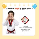 용인대 나라찬 태권도 네이버블로그