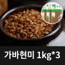 흙애서 이미지