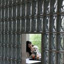 경기도 수원시 권선구 구운로27번길 2 | [내돈내산 후기] 수원 애견동반 카페 대형 카페 | 고색연와 ෆ