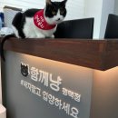 함께냥 평택점 이미지