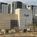 아이크로스 | 핑 드라이빙 아이언 추천 i아이크로스오버 스텔스 DHY 드라이빙 아이언 팔고 교환했어요