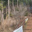 세븐일레븐제주정실점 이미지