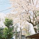 문학을 표현해보자 이미지