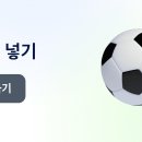 토스 골넣기 하자 이미지