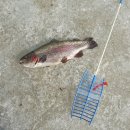 인산낚시터 이미지