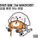 강아지 정보(입질1/급식) 12 이미지