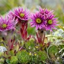 산이있는 풍경 이미지