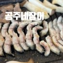 공주네 | [공지] 장어 땡기는 날 가야 할 천안 '공주네장어' 가격대비 만족도 높은 이유
